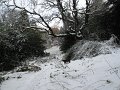 more snow nov 2019 025